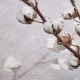 Alfombra Lavable Cotton Bolls
