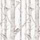 Papel Pintado Birch Forest
