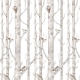 Birch Forest Wallpaper