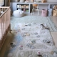 Washable Play Rug Path of Nature