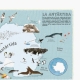 Atlas de aventuras Océanos