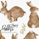 Happy Rabbits Wonderland Set