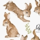 Vinilo Rabbits