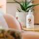 Baby Massage Oil - 500 ml