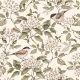 Birds and Green Spring | Finishes