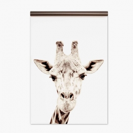 Papel Pintado magnético Giraffe