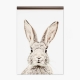 Papel Pintado magnético Rabbit