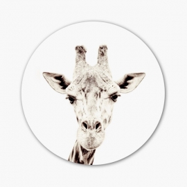 Magnetic Sticker / Giraffe