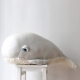 Albino Whale Bubble